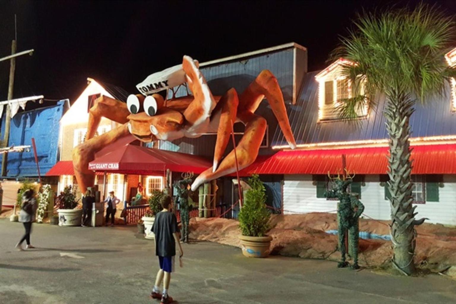 Ocean Annie'S Oceanview Studio,Scenic Views,Pools! Myrtle Beach Kültér fotó